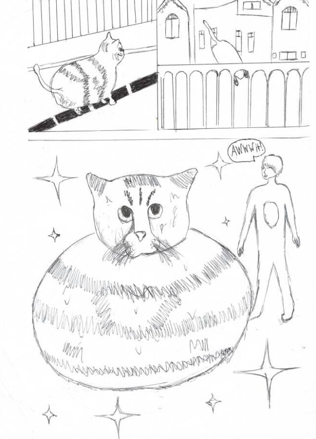 Fat Cat