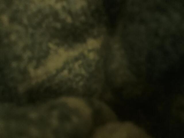 Test 4