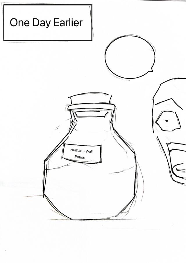 That one time I got reincarnated as a wall after drinking a potion that said “Human - Wall Potion”