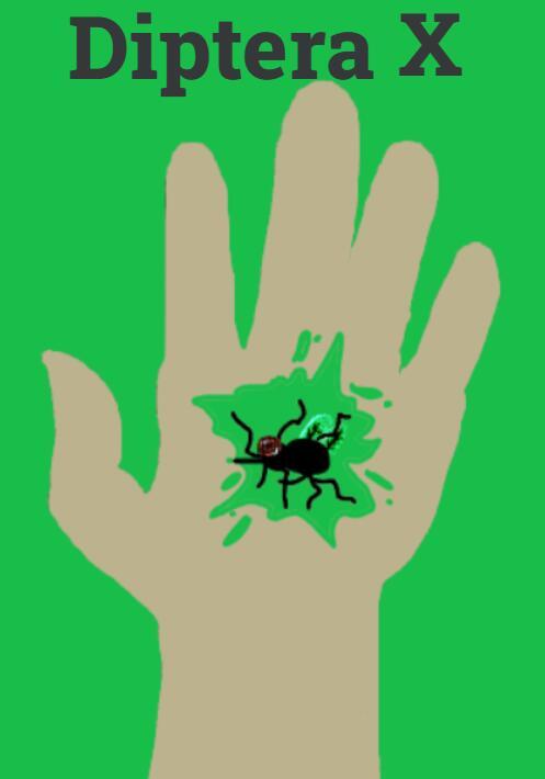 Diptera X