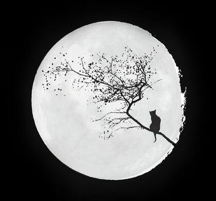 author_avatar