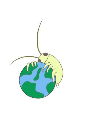 author_avatar