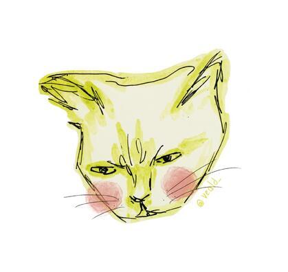 author_avatar