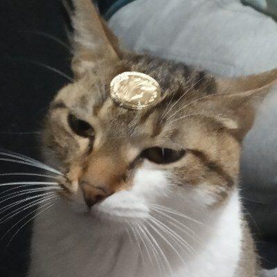 author_avatar