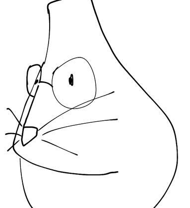 author_avatar