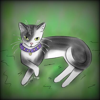 author_avatar