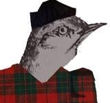author_avatar