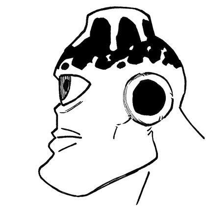 author_avatar