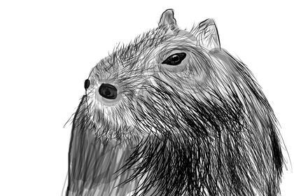 author_avatar