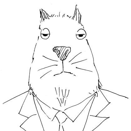 author_avatar