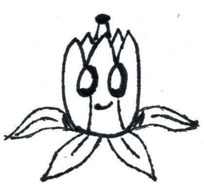 author_avatar