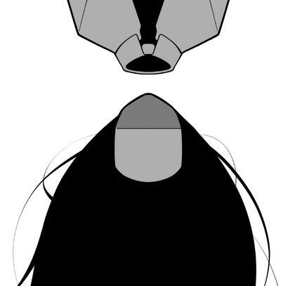 author_avatar