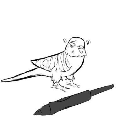 author_avatar