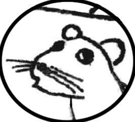 author_avatar