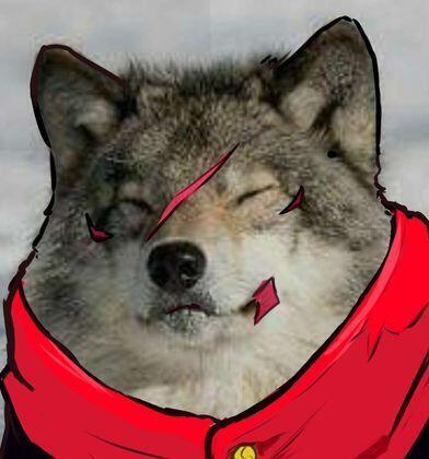 author_avatar