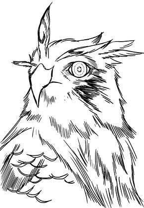 author_avatar