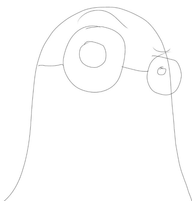 author_avatar