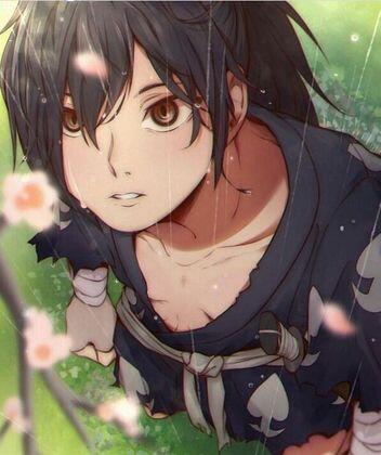author_avatar