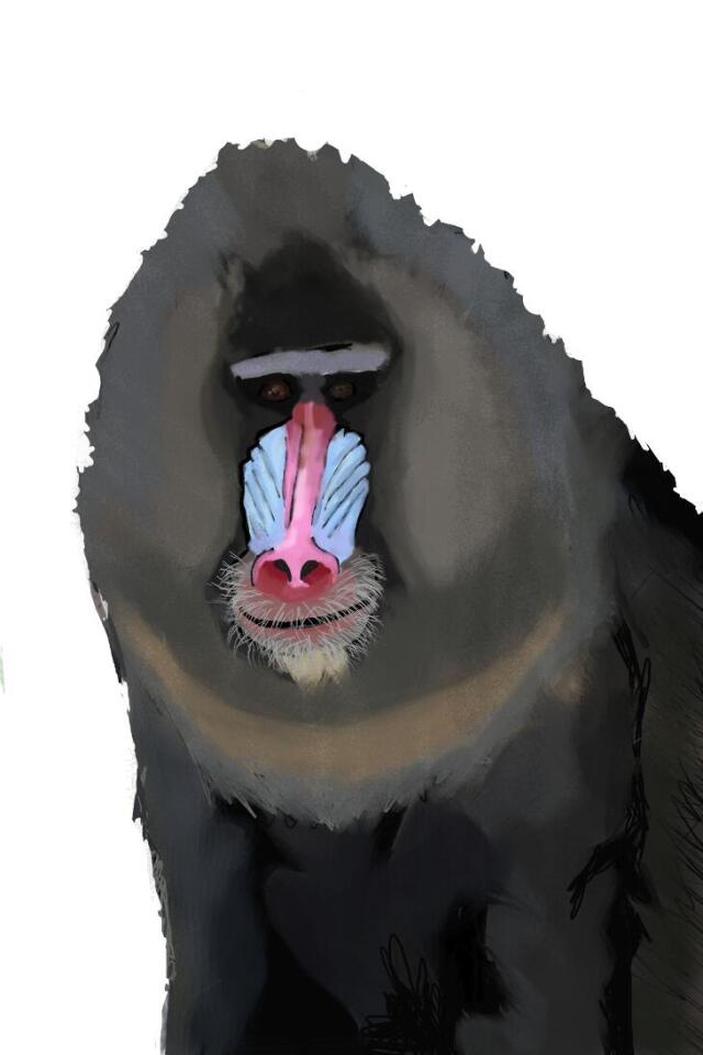 author_avatar