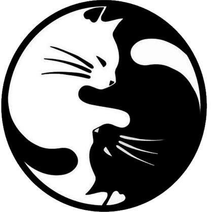 author_avatar