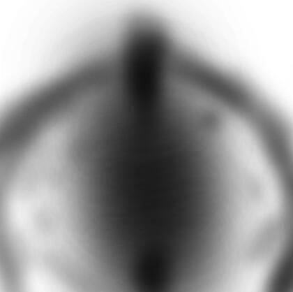 author_avatar