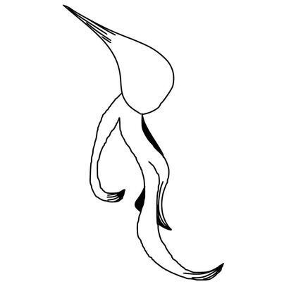 author_avatar