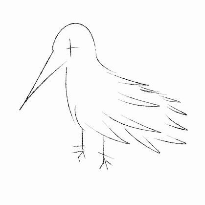 author_avatar