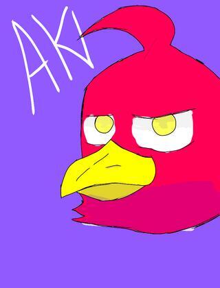 Aki David