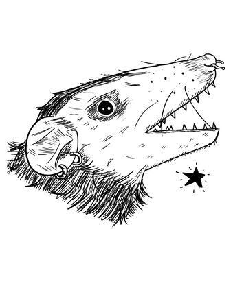 author_avatar