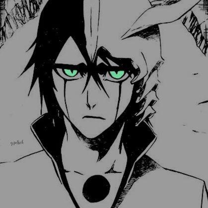 author_avatar
