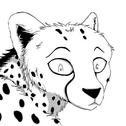 author_avatar
