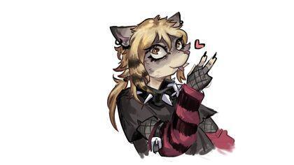author_avatar