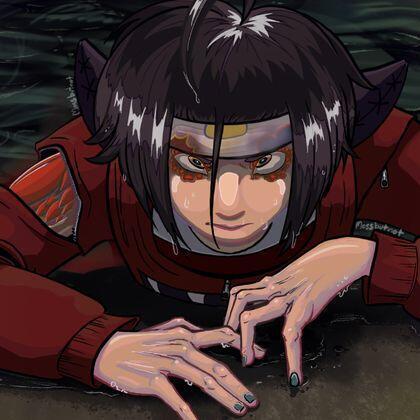 author_avatar
