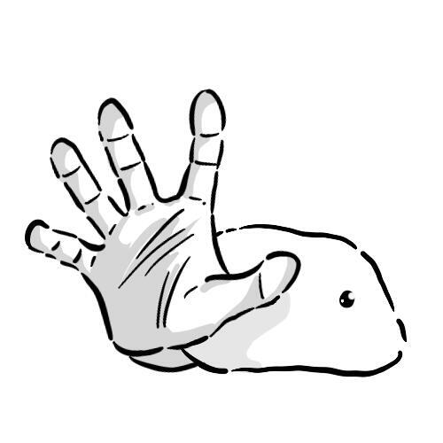 author_avatar