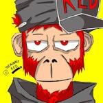 author_avatar