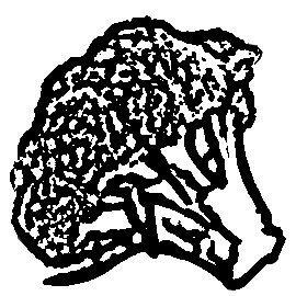 author_avatar