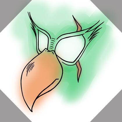 author_avatar