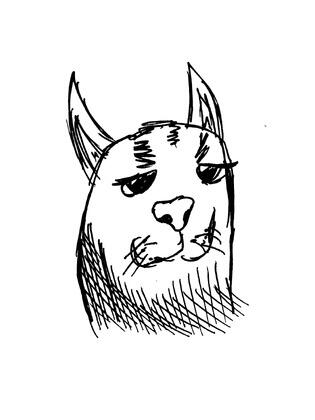 author_avatar
