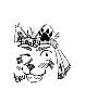 author_avatar
