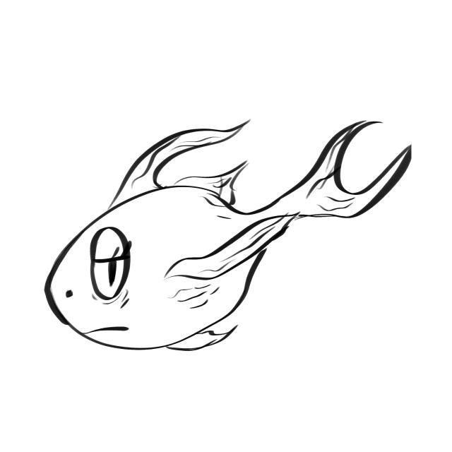 author_avatar