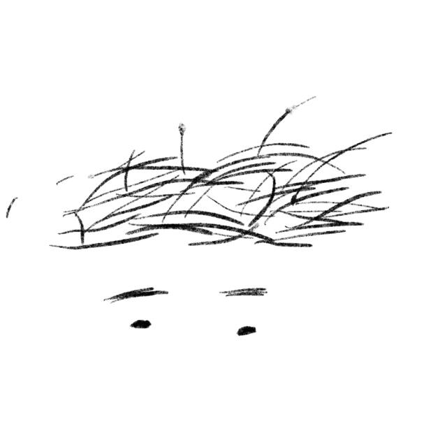 author_avatar