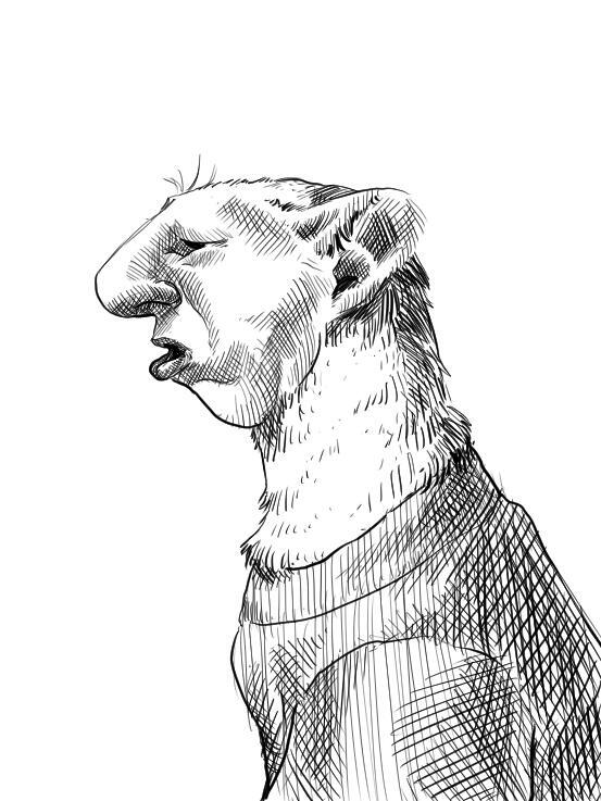 author_avatar