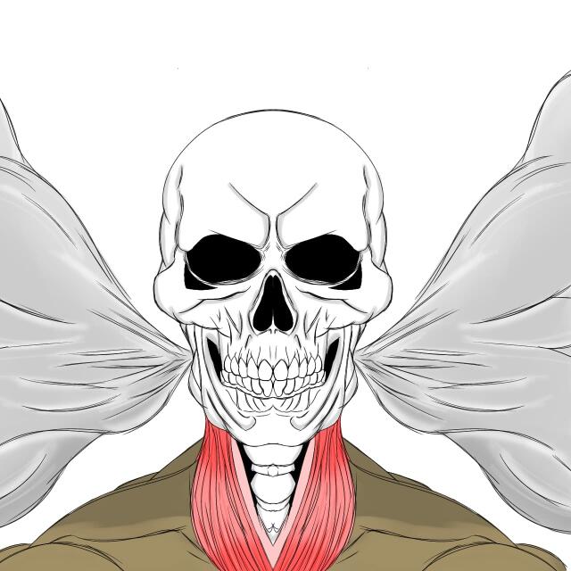 author_avatar