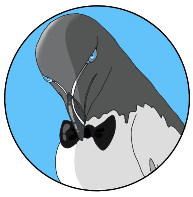 author_avatar