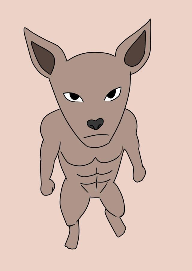 author_avatar