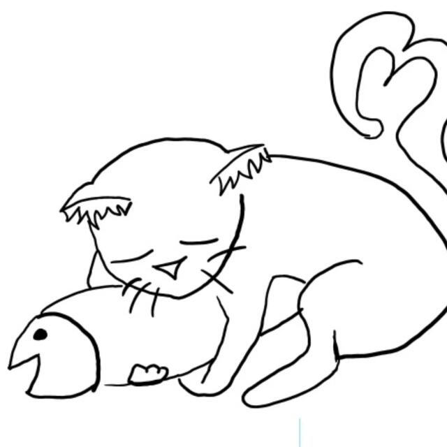 author_avatar