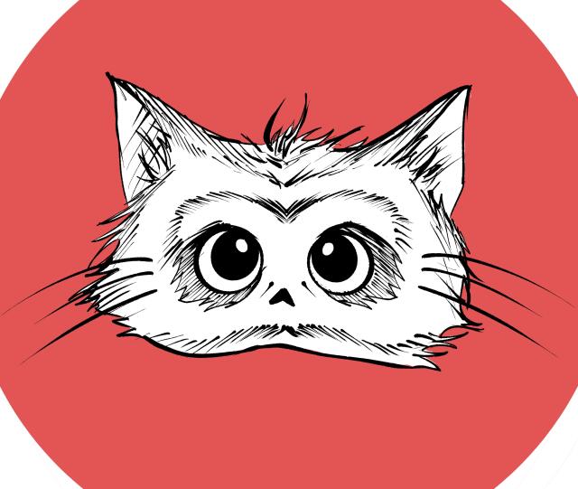 author_avatar