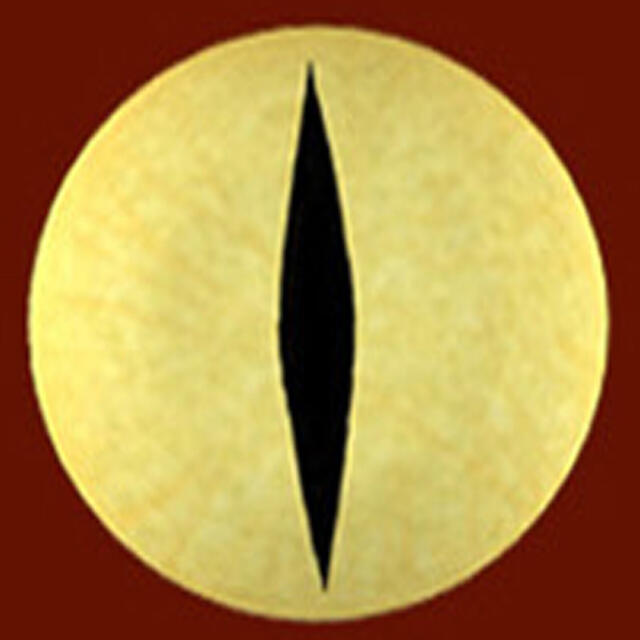 author_avatar