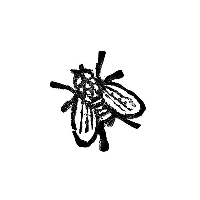 author_avatar