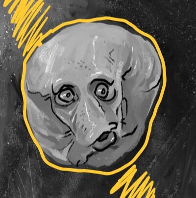 CrabInHoney